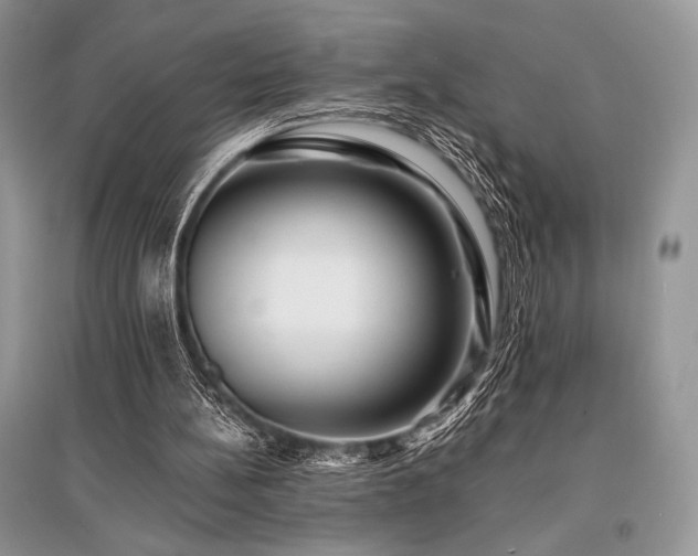 X0000096380148200801241245