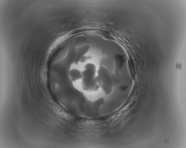 X0000096380149200801241245