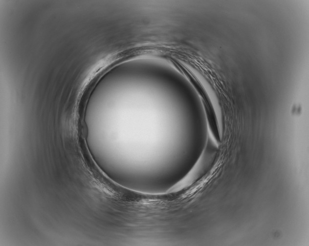 X0000096380150200801241245