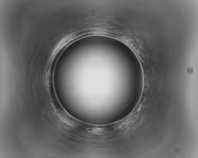 X0000096380151200801241245