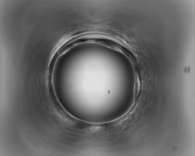 X0000096380152200801241245