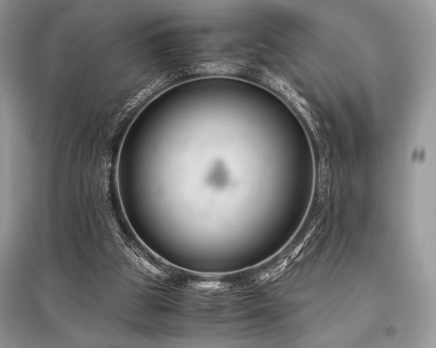 X0000096380153200801241245