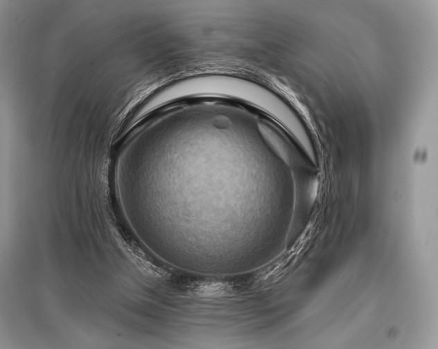 X0000096380154200801241245