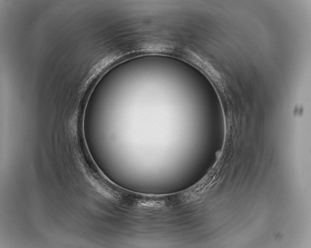 X0000096380155200801241245