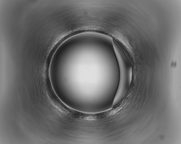 X0000096380156200801241245