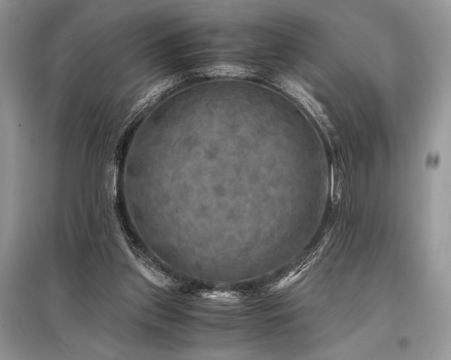 X0000096380157200801241245