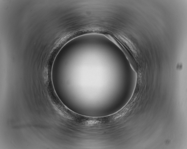 X0000096380158200801241245