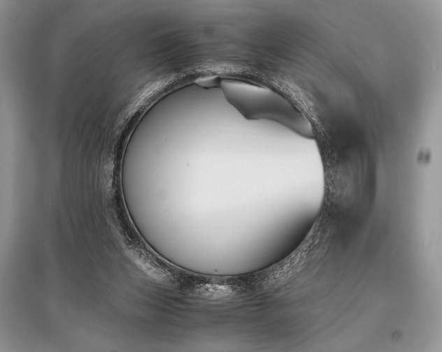 X0000096380159200801241245