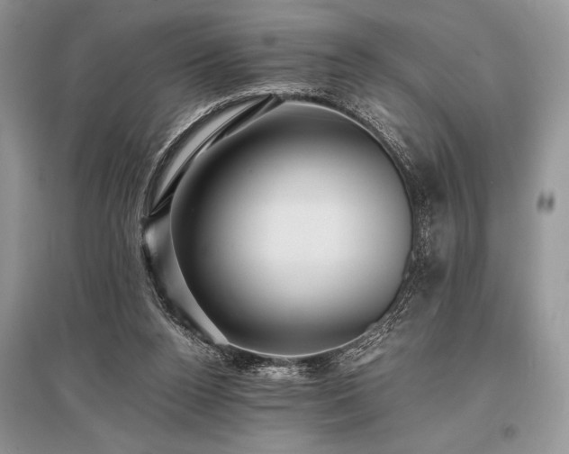 X0000096380160200801241245