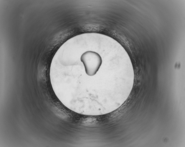 X0000096380162200801241245