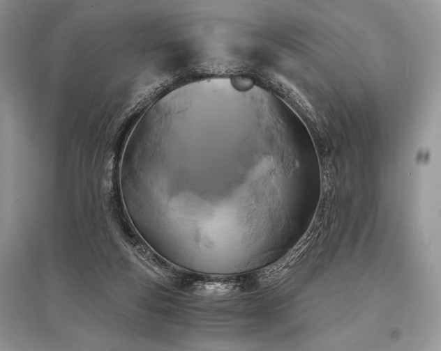 X0000096380163200801241245