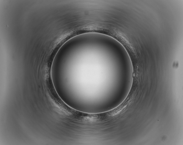 X0000096380164200801241245