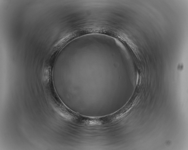 X0000096380165200801241245