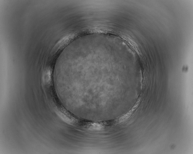 X0000096380166200801241245