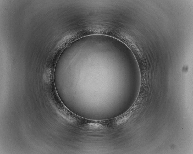 X0000096380167200801241245