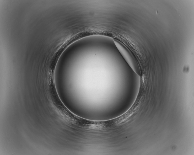 X0000096380168200801241245
