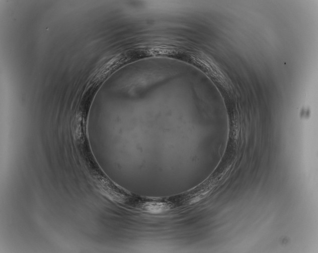 X0000096380169200801241245