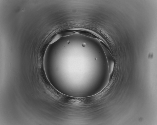 X0000096380170200801241245