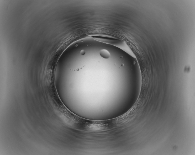 X0000096380171200801241245