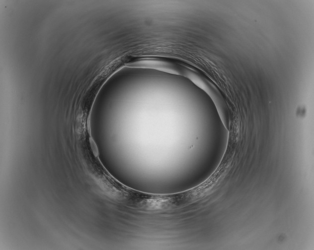 X0000096380172200801241245
