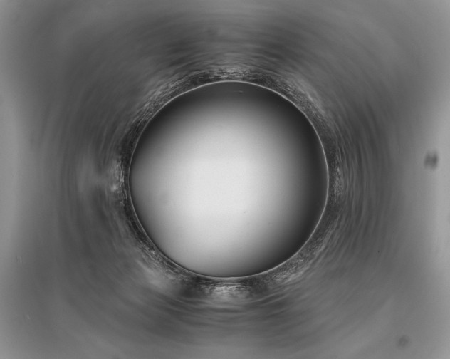 X0000096380173200801241245