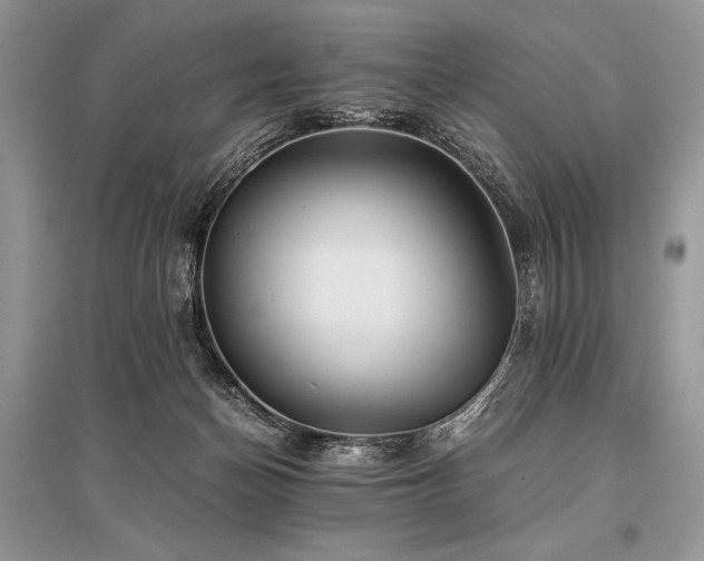 X0000096380174200801241245