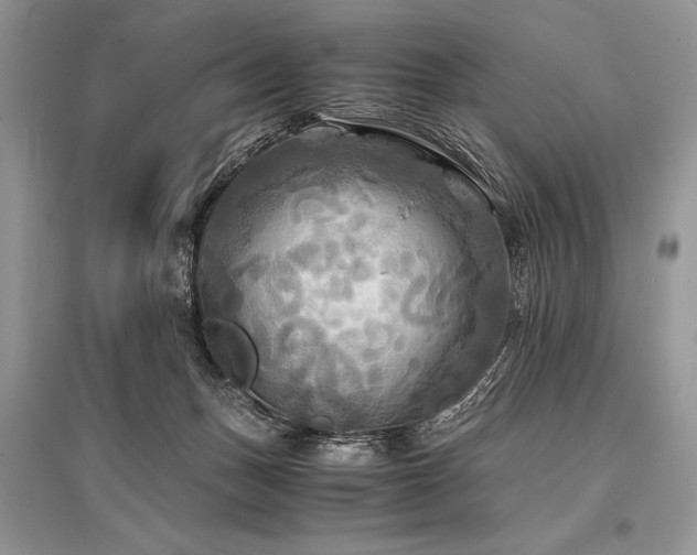X0000096380175200801241245
