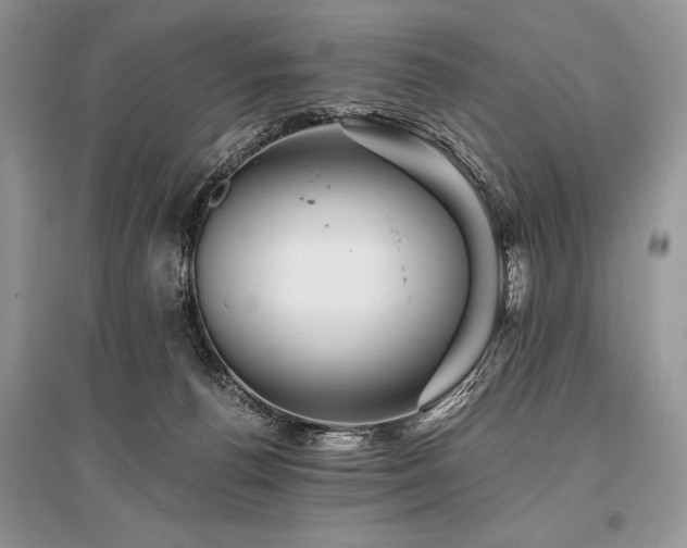 X0000096380176200801241245