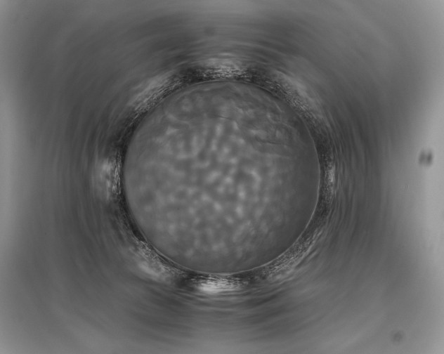 X0000096380177200801241245