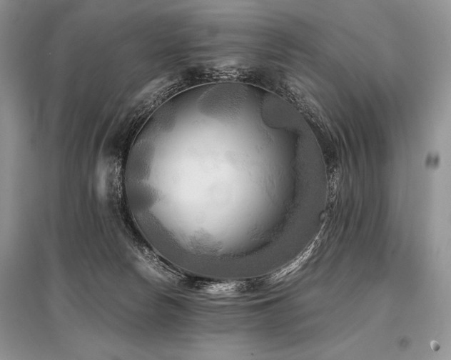 X0000096380178200801241245