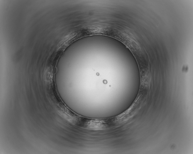 X0000096380179200801241245