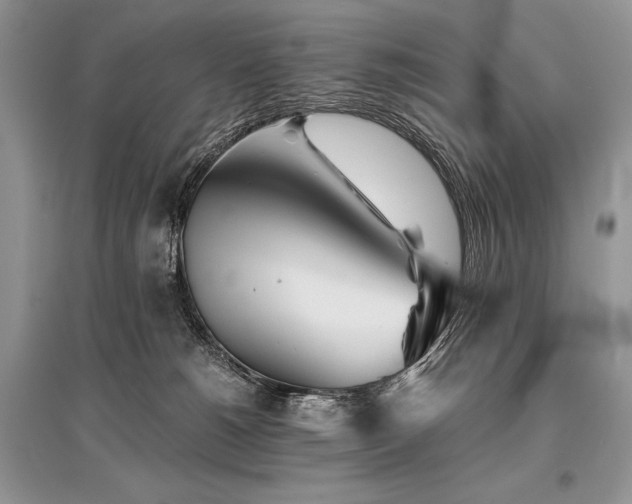 X0000096380180200801241245
