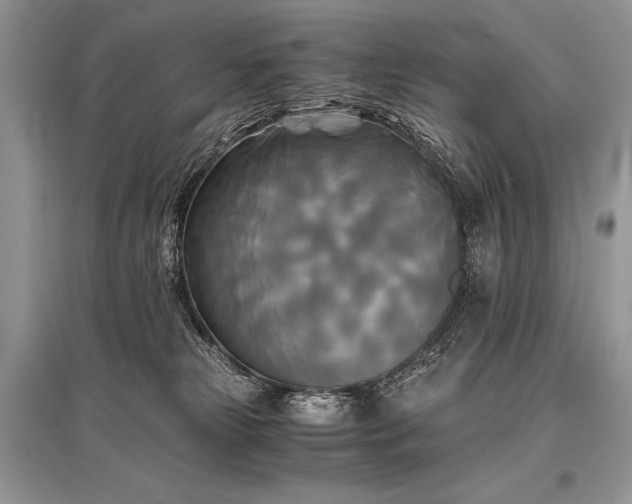 X0000096380181200801241245