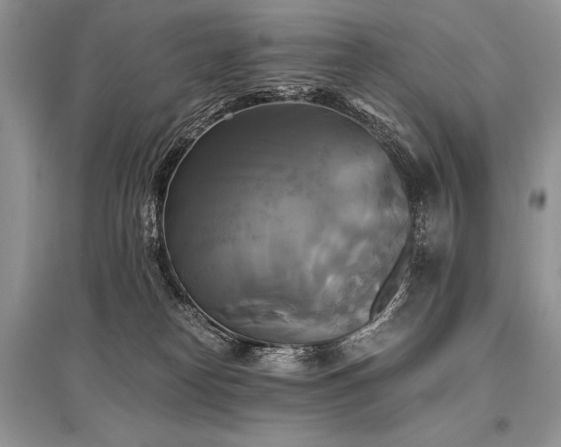 X0000096380182200801241245