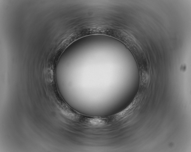 X0000096380183200801241246