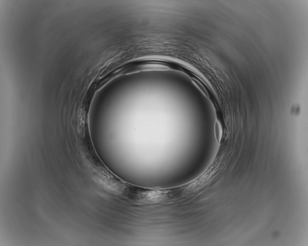 X0000096380184200801241246