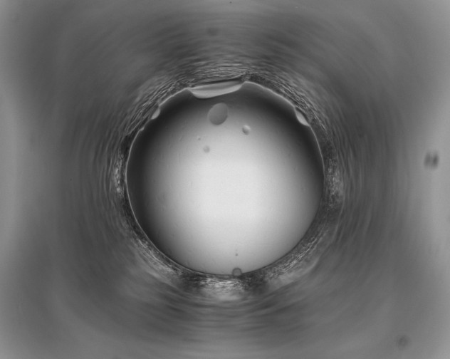 X0000096380185200801241246