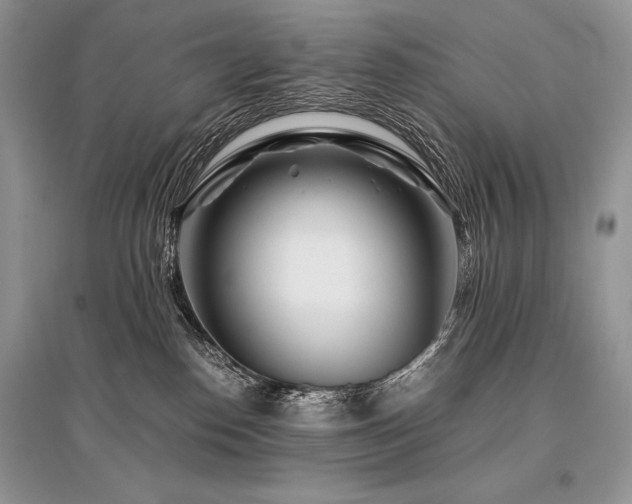 X0000096380186200801241246
