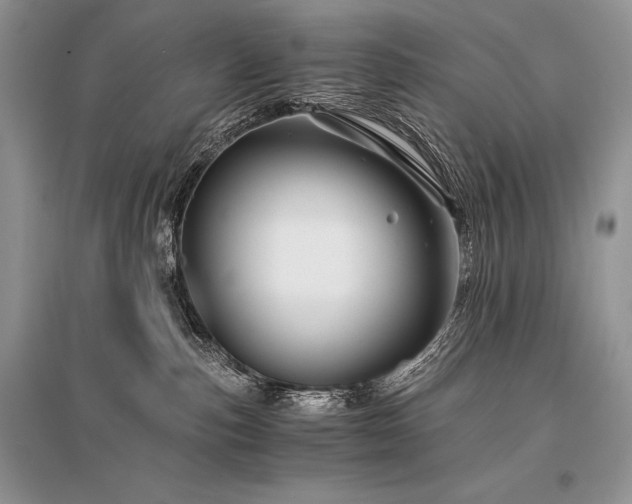 X0000096380187200801241246