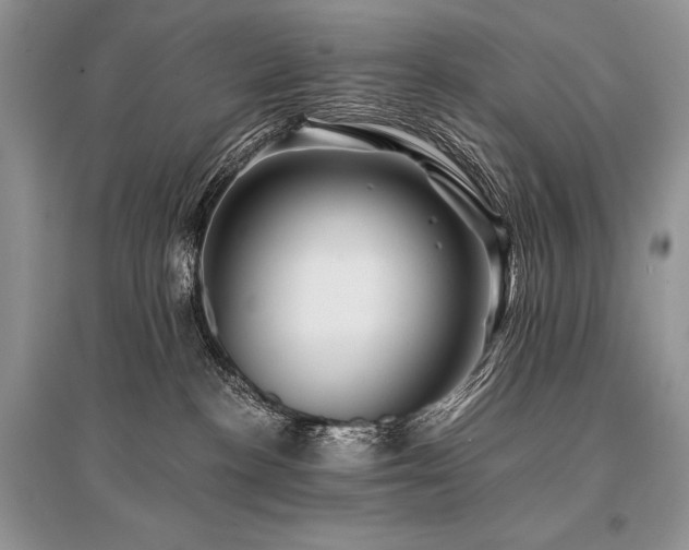 X0000096380188200801241246