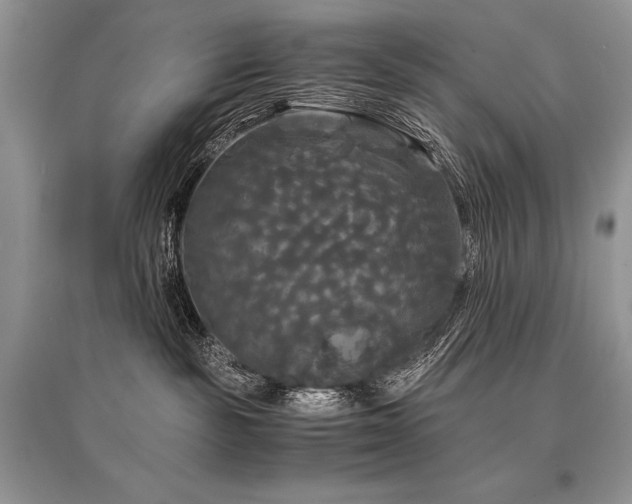 X0000096380189200801241246