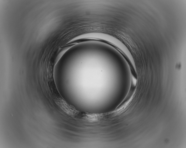 X0000096380190200801241246