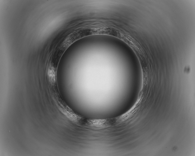 X0000096380191200801241246