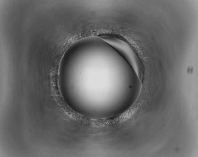 X0000096380192200801241246