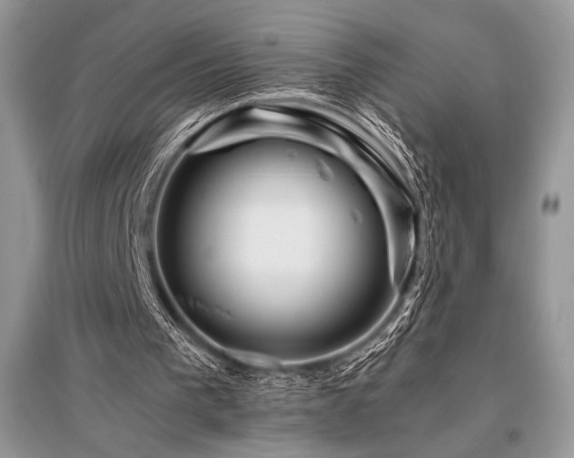 X0000096380193200801241245