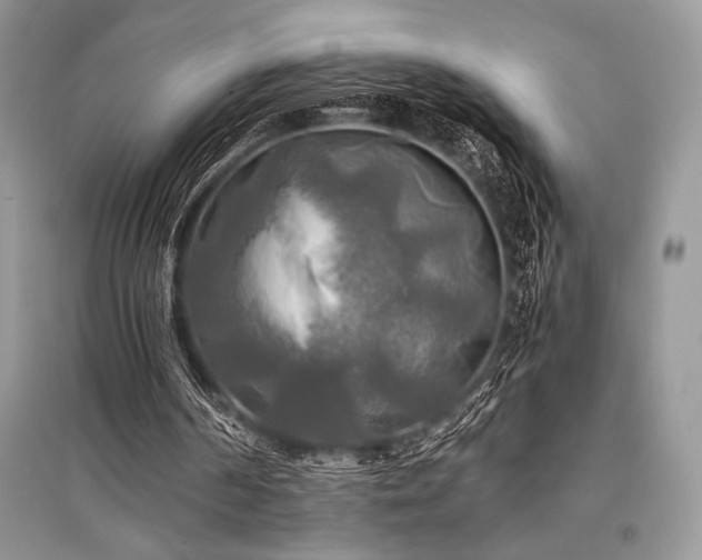 X0000096380194200801241245
