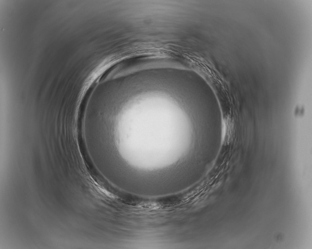 X0000096380195200801241245