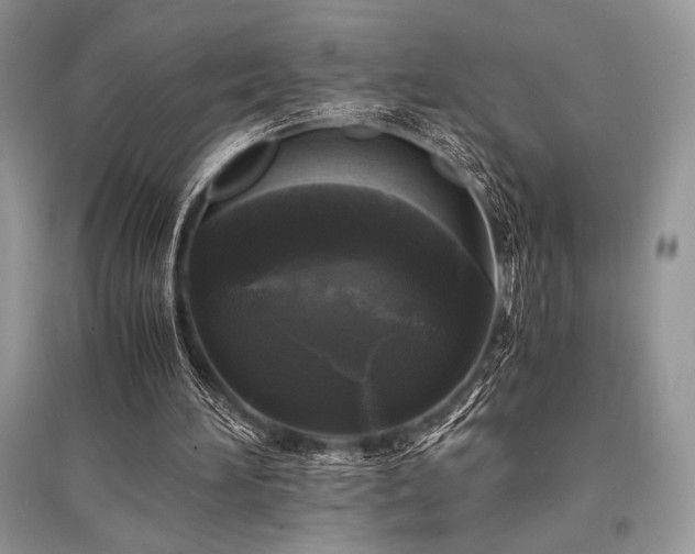 X0000096380196200801241245