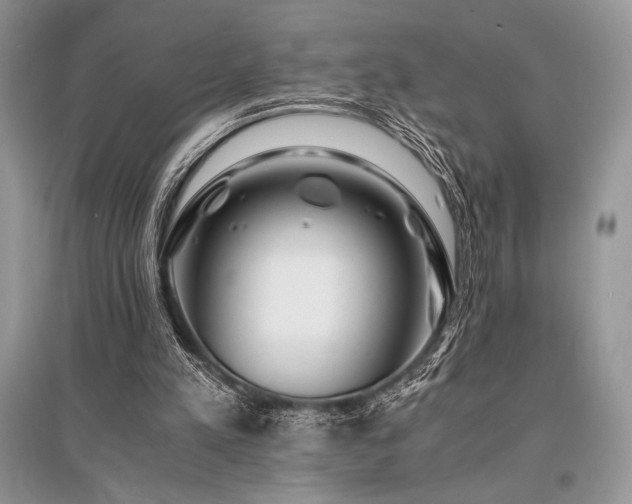 X0000096380197200801241245