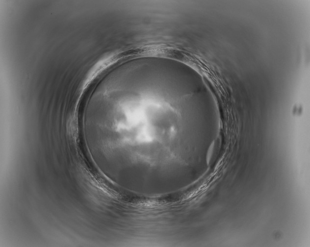 X0000096380198200801241245